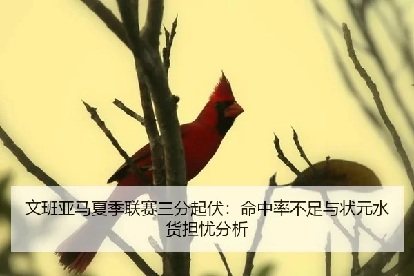wen-ban-ya-ma-xia-ji-lian-sai-san-fen-qi-fu-ming-zhong-lv-bu-zu-yu-zhuang-yuan-shui-huo-dan-you-fen-xi-3-223.jpg